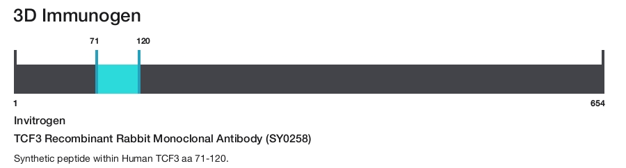 TCF3 Recombinant Rabbit Monoclonal Antibody (SY0258)