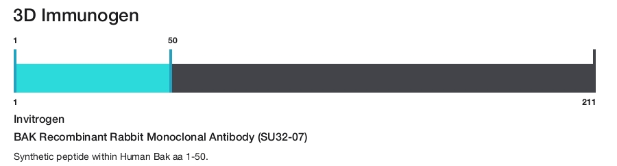 BAK Recombinant Rabbit Monoclonal Antibody (SU32-07)