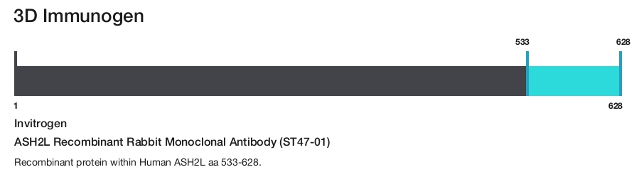 ASH2L Recombinant Rabbit Monoclonal Antibody (ST47-01)