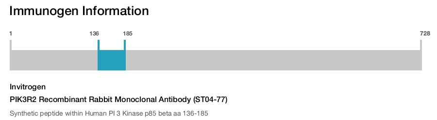 PIK3R2 Recombinant Rabbit Monoclonal Antibody (ST04-77)