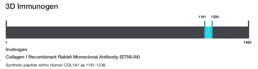 Collagen I Recombinant Rabbit Monoclonal Antibody (ST58-04)