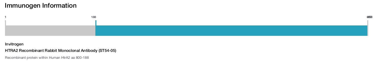 HTRA2 Recombinant Rabbit Monoclonal Antibody (ST54-05)