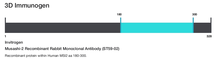 Musashi-2 Recombinant Rabbit Monoclonal Antibody (ST59-02)