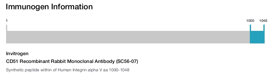 CD51 Recombinant Rabbit Monoclonal Antibody (SC56-07)