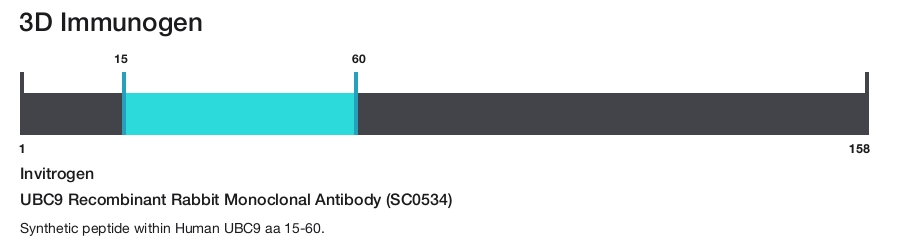 UBC9 Recombinant Rabbit Monoclonal Antibody (SC0534)