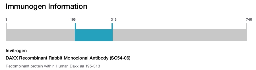 DAXX Recombinant Rabbit Monoclonal Antibody (SC54-06)