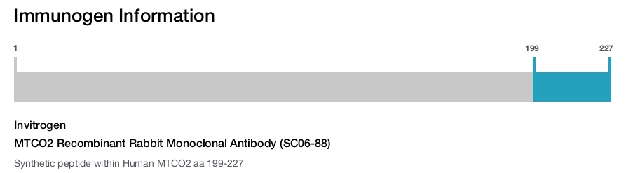 MTCO2 Recombinant Rabbit Monoclonal Antibody (SC06-88)