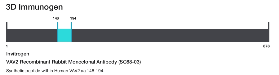 VAV2 Recombinant Rabbit Monoclonal Antibody (SC68-03)