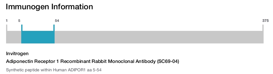 Adiponectin Receptor 1 Recombinant Rabbit Monoclonal Antibody (SC69-04)