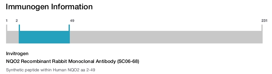 NQO2 Recombinant Rabbit Monoclonal Antibody (SC06-68)