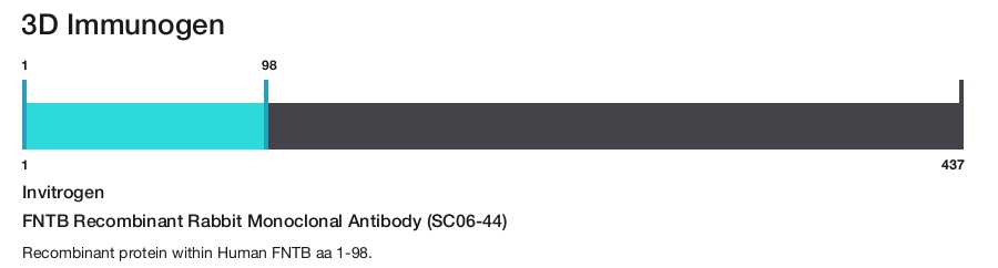 FNTB Recombinant Rabbit Monoclonal Antibody (SC06-44)