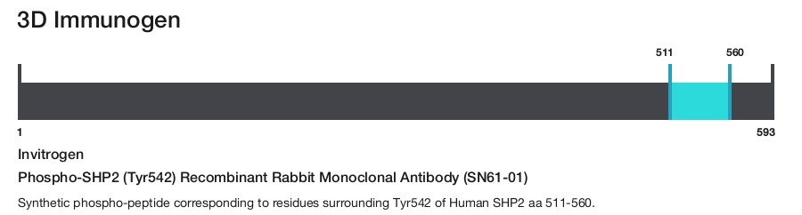 Phospho-SHP2 (Tyr542) Recombinant Rabbit Monoclonal Antibody (SN61-01)