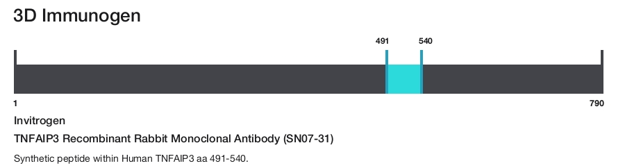 TNFAIP3 Recombinant Rabbit Monoclonal Antibody (SN07-31)