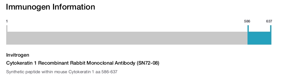 Cytokeratin 1 Recombinant Rabbit Monoclonal Antibody (SN72-08)