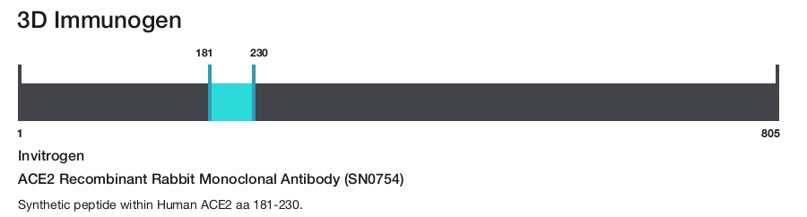 ACE2 Recombinant Rabbit Monoclonal Antibody (SN0754)