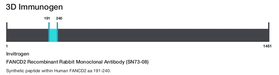 FANCD2 Recombinant Rabbit Monoclonal Antibody (SN73-08)