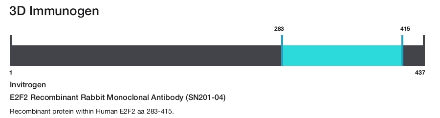 E2F2 Recombinant Rabbit Monoclonal Antibody (SN201-04)