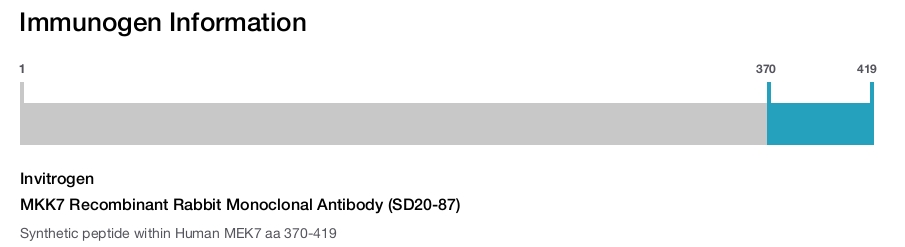 MKK7 Recombinant Rabbit Monoclonal Antibody (SD20-87)