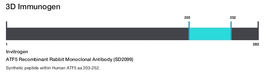 ATF5 Recombinant Rabbit Monoclonal Antibody (SD2099)