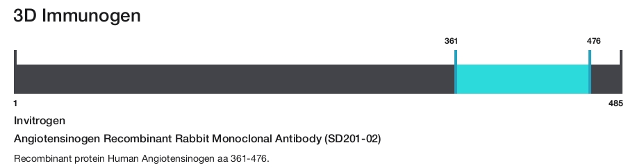 Angiotensinogen Recombinant Rabbit Monoclonal Antibody (SD201-02)