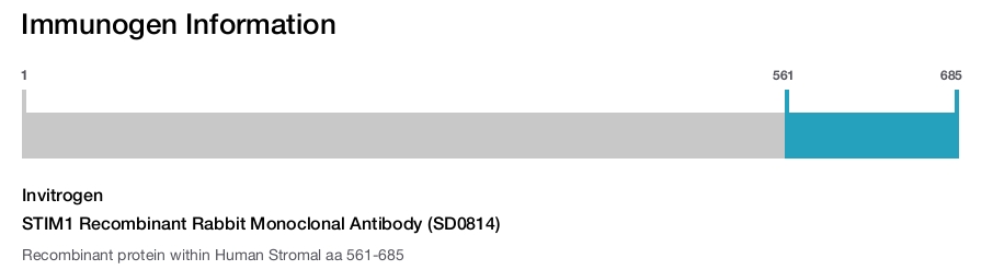STIM1 Recombinant Rabbit Monoclonal Antibody (SD0814)