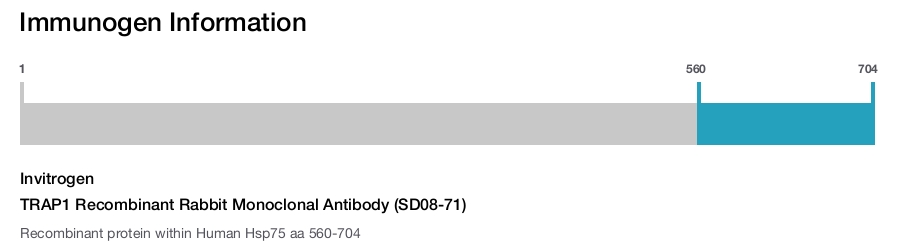 TRAP1 Recombinant Rabbit Monoclonal Antibody (SD08-71)
