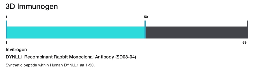 DYNLL1 Recombinant Rabbit Monoclonal Antibody (SD08-04)