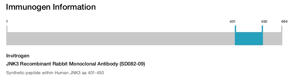 JNK3 Recombinant Rabbit Monoclonal Antibody (SD082-09)