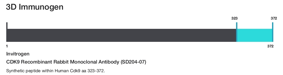 CDK9 Recombinant Rabbit Monoclonal Antibody (SD204-07)