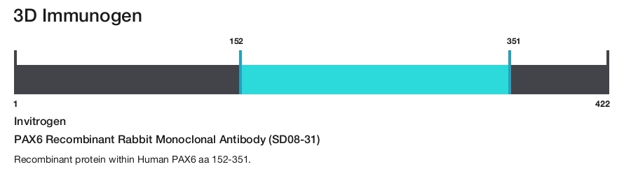 PAX6 Recombinant Rabbit Monoclonal Antibody (SD08-31)