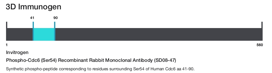 Phospho-Cdc6 (Ser54) Recombinant Rabbit Monoclonal Antibody (SD08-47)