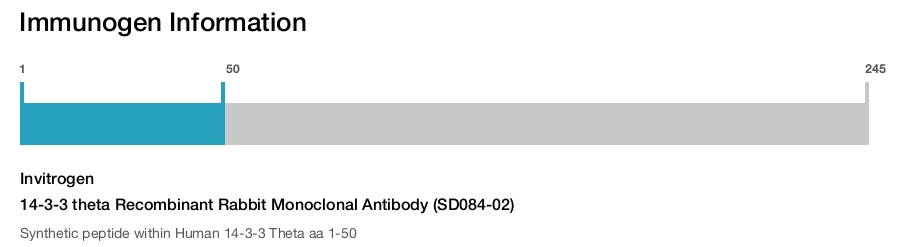 14-3-3 theta Recombinant Rabbit Monoclonal Antibody (SD084-02)