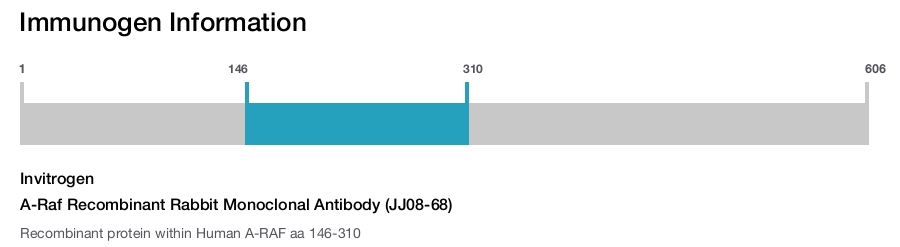 A-Raf Recombinant Rabbit Monoclonal Antibody (JJ08-68)