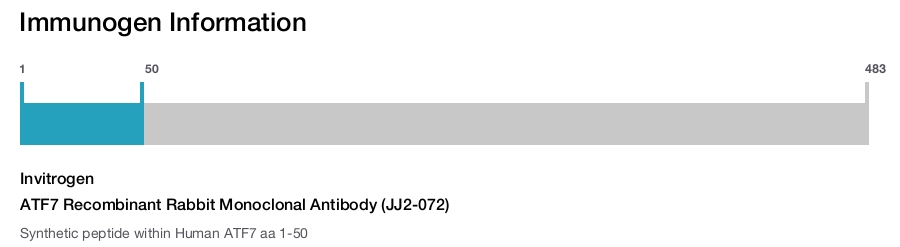 ATF7 Recombinant Rabbit Monoclonal Antibody (JJ2-072)