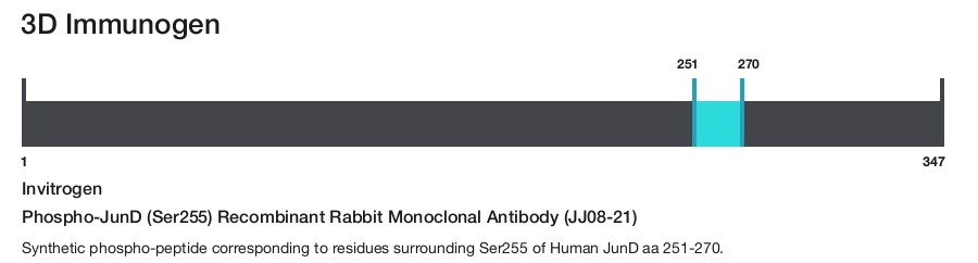 Phospho-JunD (Ser255) Recombinant Rabbit Monoclonal Antibody (JJ08-21)