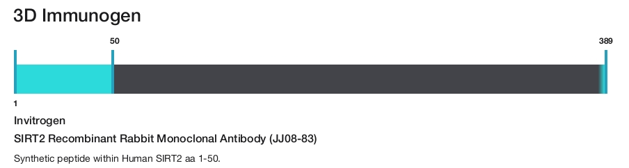 SIRT2 Recombinant Rabbit Monoclonal Antibody (JJ08-83)