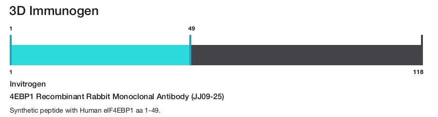 4EBP1 Recombinant Rabbit Monoclonal Antibody (JJ09-25)