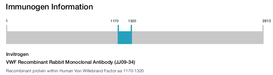 VWF Recombinant Rabbit Monoclonal Antibody (JJ09-34)