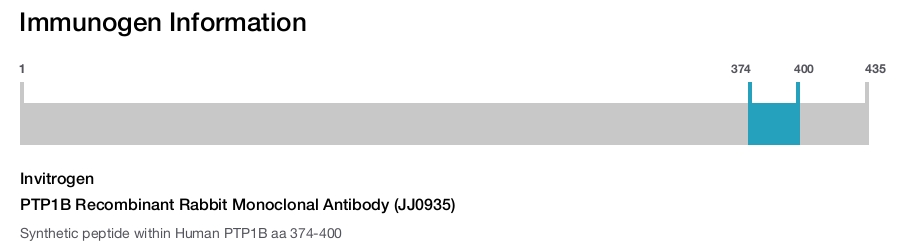 PTP1B Recombinant Rabbit Monoclonal Antibody (JJ0935)