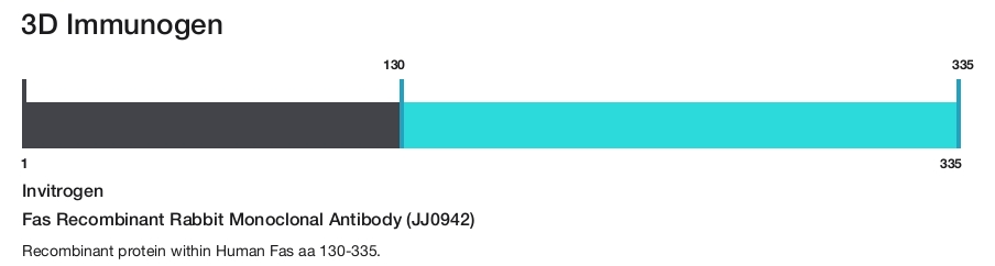 Fas Recombinant Rabbit Monoclonal Antibody (JJ0942)