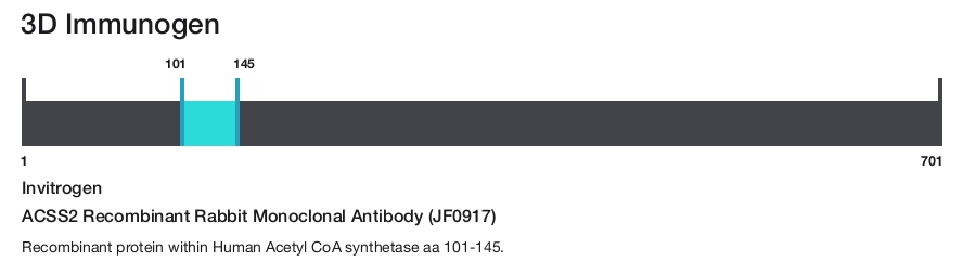 ACSS2 Recombinant Rabbit Monoclonal Antibody (JF0917)