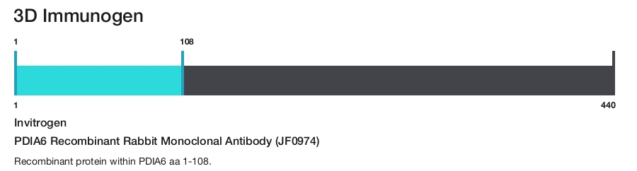 PDIA6 Recombinant Rabbit Monoclonal Antibody (JF0974)
