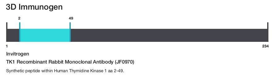 TK1 Recombinant Rabbit Monoclonal Antibody (JF0970)