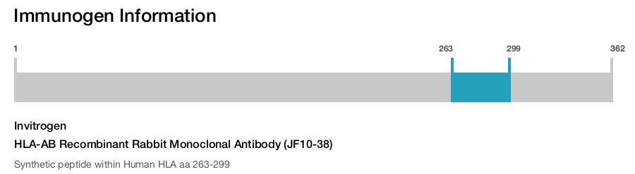 HLA-AB Recombinant Rabbit Monoclonal Antibody (JF10-38)