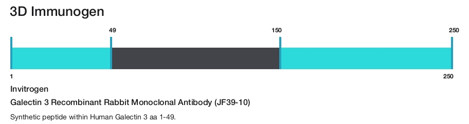 Galectin 3 Recombinant Rabbit Monoclonal Antibody (JF39-10)