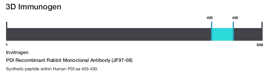 PDI Recombinant Rabbit Monoclonal Antibody (JF97-08)