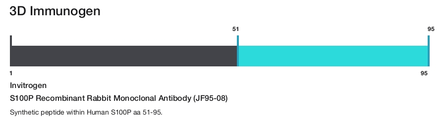 S100P Recombinant Rabbit Monoclonal Antibody (JF95-08)
