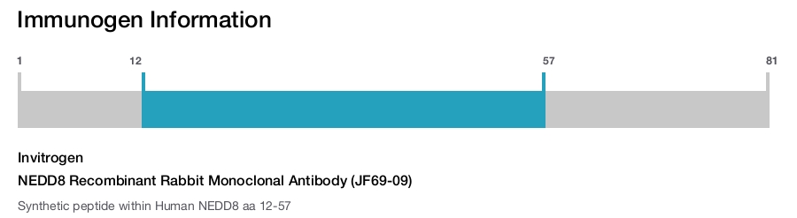 NEDD8 Recombinant Rabbit Monoclonal Antibody (JF69-09)