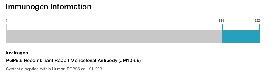 PGP9.5 Recombinant Rabbit Monoclonal Antibody (JM10-59)
