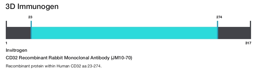 CD32 Recombinant Rabbit Monoclonal Antibody (JM10-70)